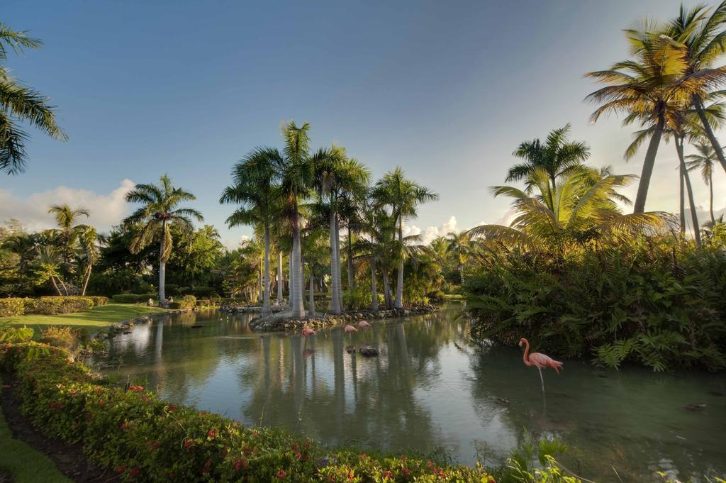 Melia Caribe Tropical All Inclusive (Adults Only) プンタ・カナ エクステリア 写真